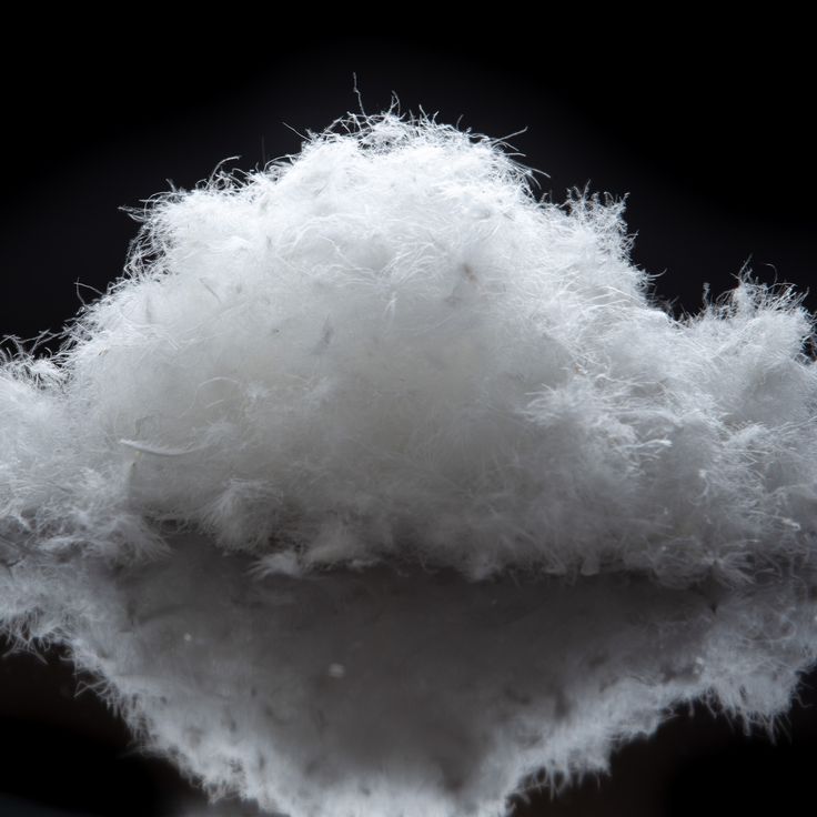 Grey duck down feather